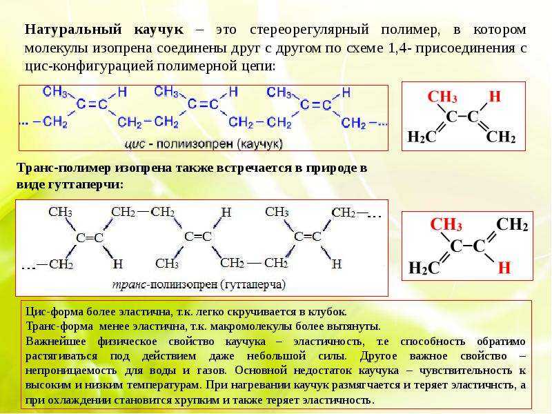 Сообщение о растениях каучуконосах кратко