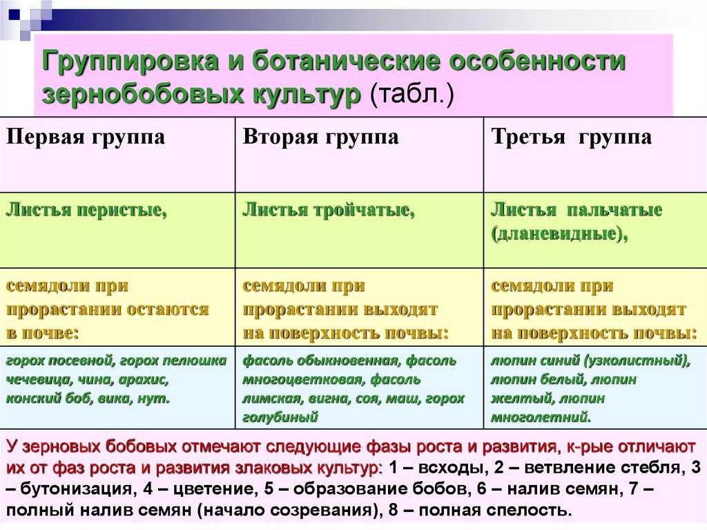 Основные вредители овощных культур и борьба с ними, способы защиты