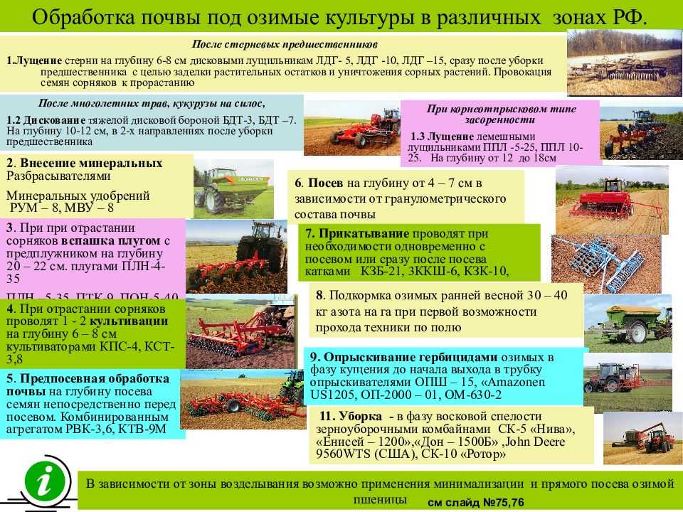 Методы полевого исследования