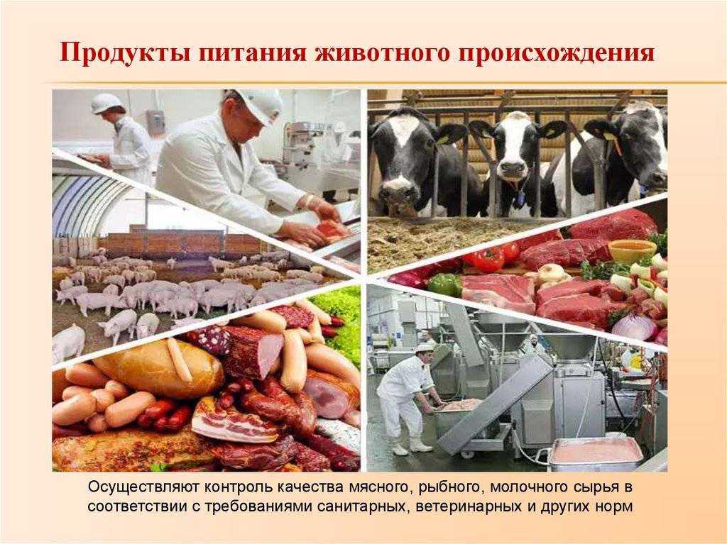 Лекарства из животных — лекарственные препараты из сырья животного происхождения