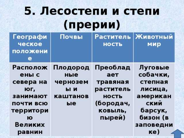 Безлесие