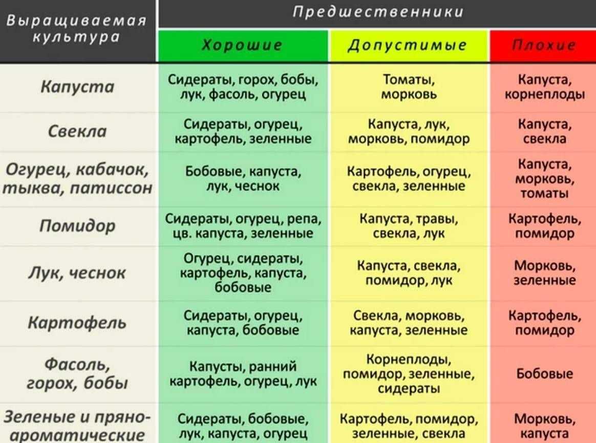 7.4. теплолюбивые культуры. семейное овощеводство на узких грядах. опыт использования метода митлайдера в россии