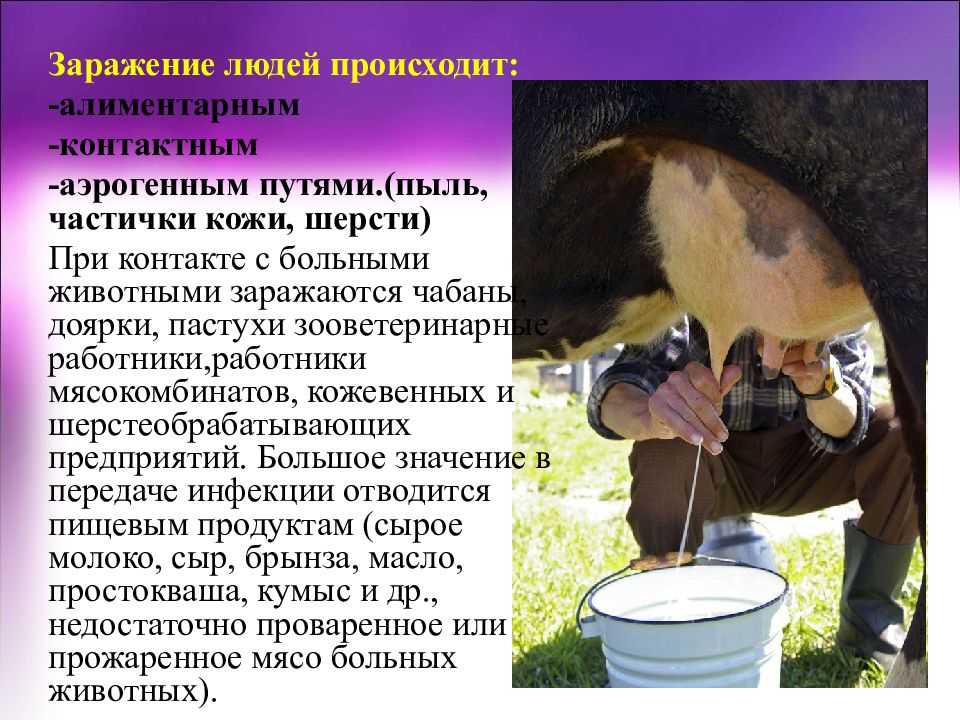 Бруцеллез