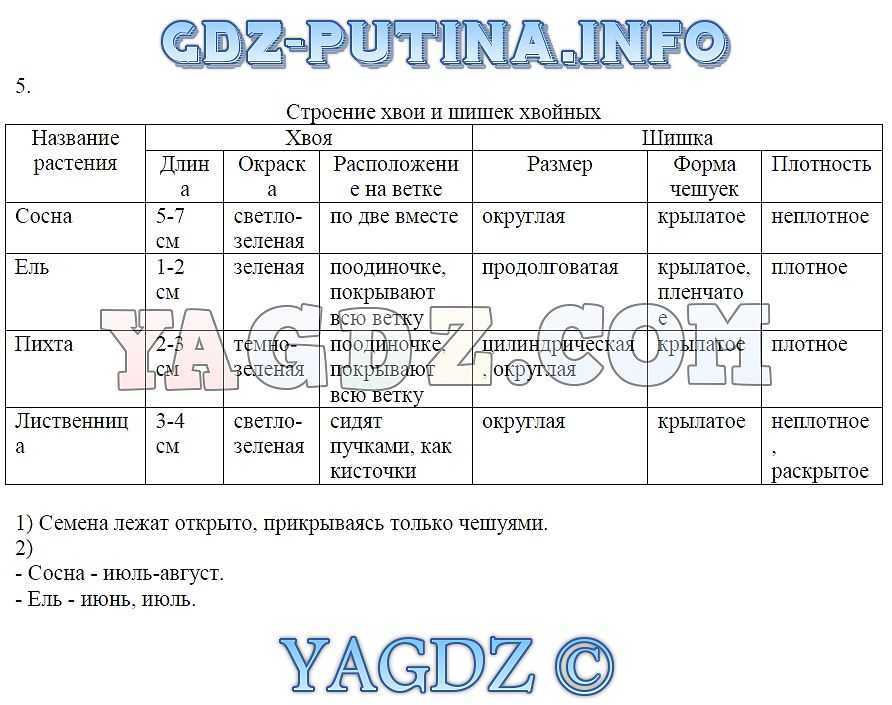Характеристика фитоценозов