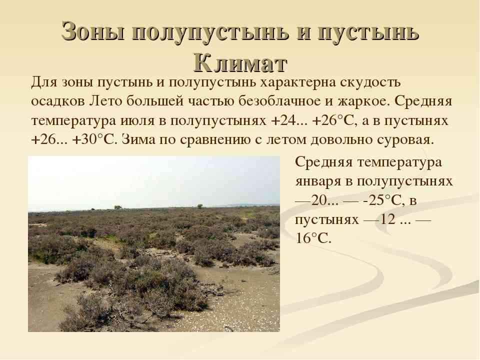 Пустыни и полупустыни