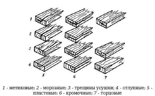Основные отличия митоза от мейоза