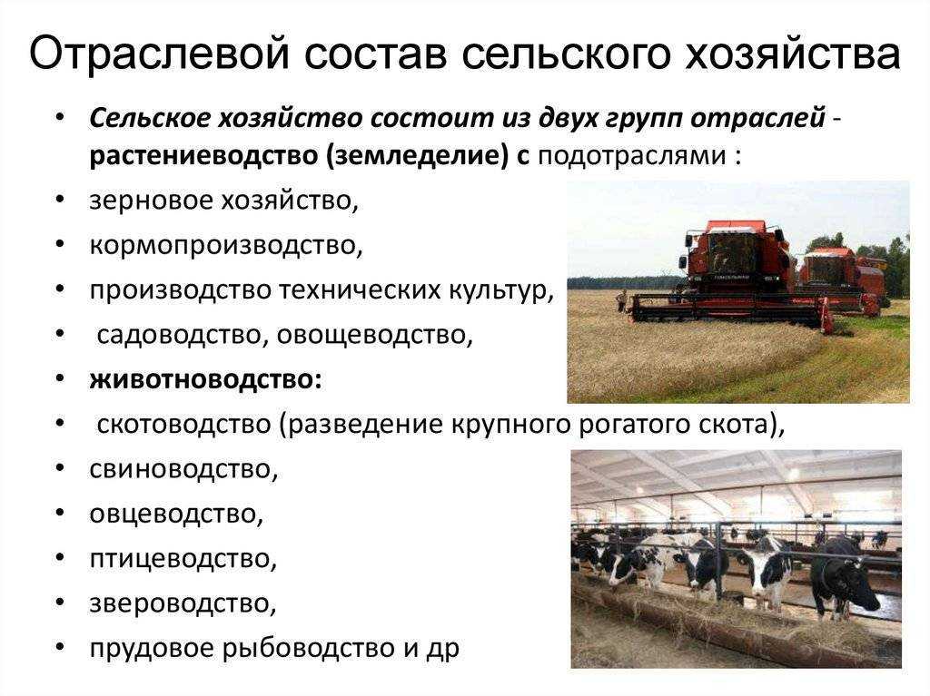 Принцип ценоанабиоза и абиоза — page 7