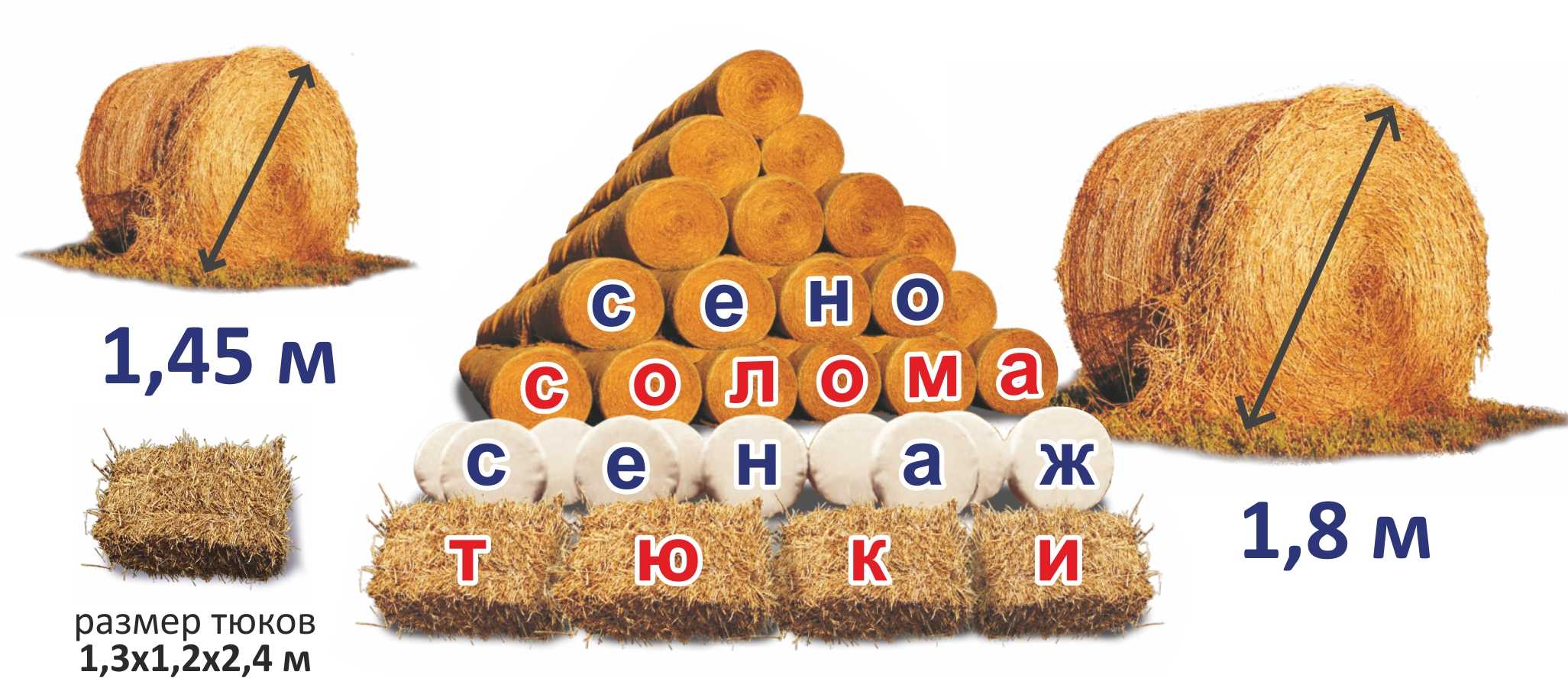 Сенаж