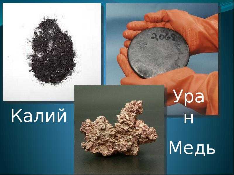 Ресурсы мирового океана — виды, краткая характеристика и проблемы использования