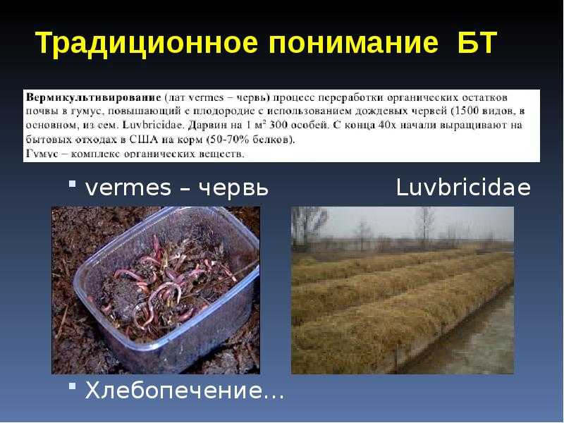 Виктор горбуновдождевые черви для повышения урожая