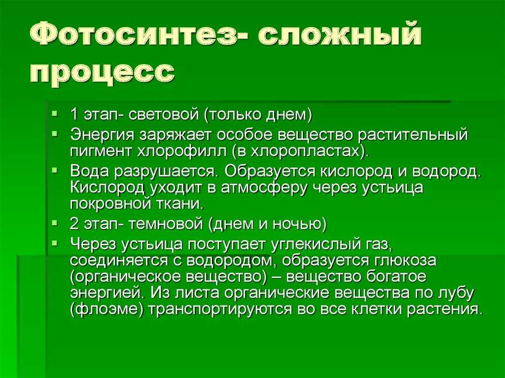 Фотодыхание