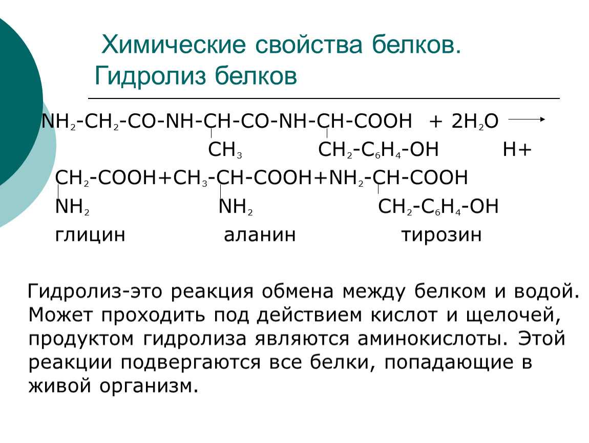 Физико-химические свойства белков и их определение. реферат. биология. 2015-06-10