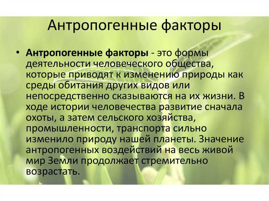 Антропогенные факторы окружающей среды – примеры, влияние, виды | презентация