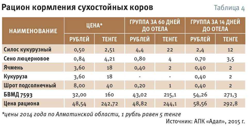 Кормление коров | полноценные рационы кормления высокопродуктивных коров