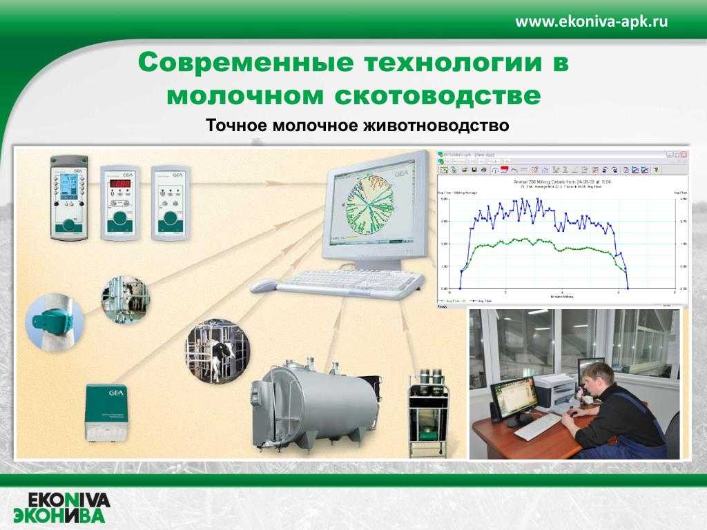 Автоматизация животноводства | санкт-петербург
