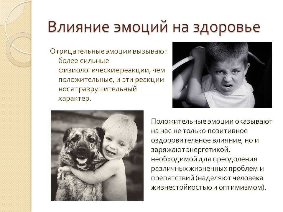 Зона степей