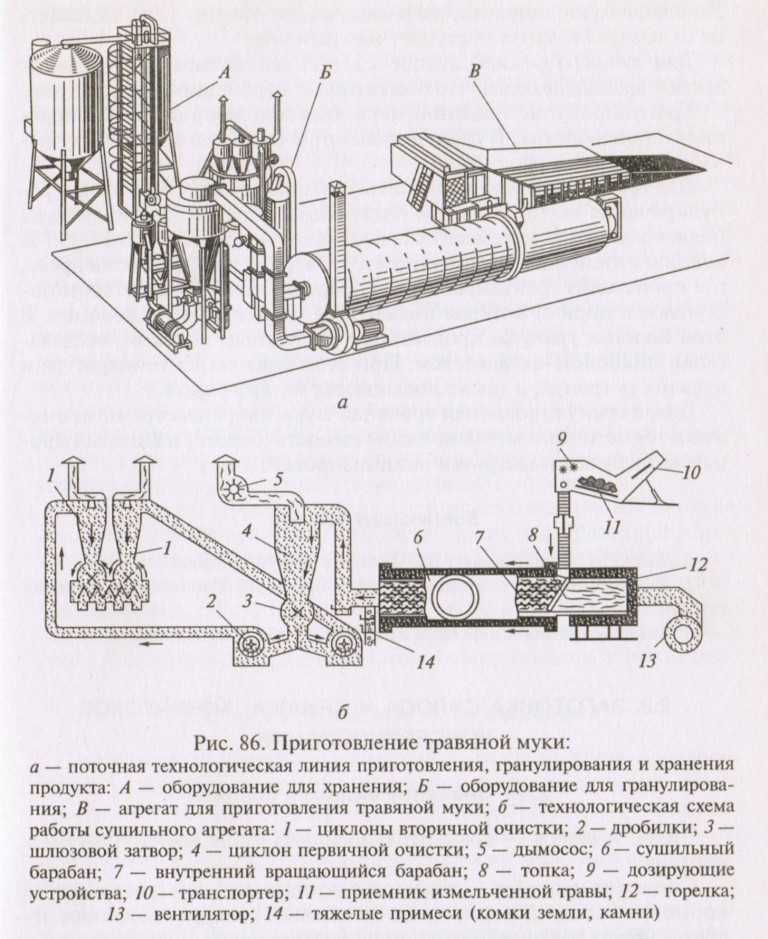 Древесная зелень