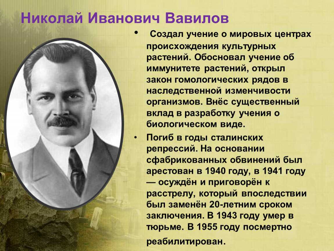 Как вавилов «грабил» эфиопию