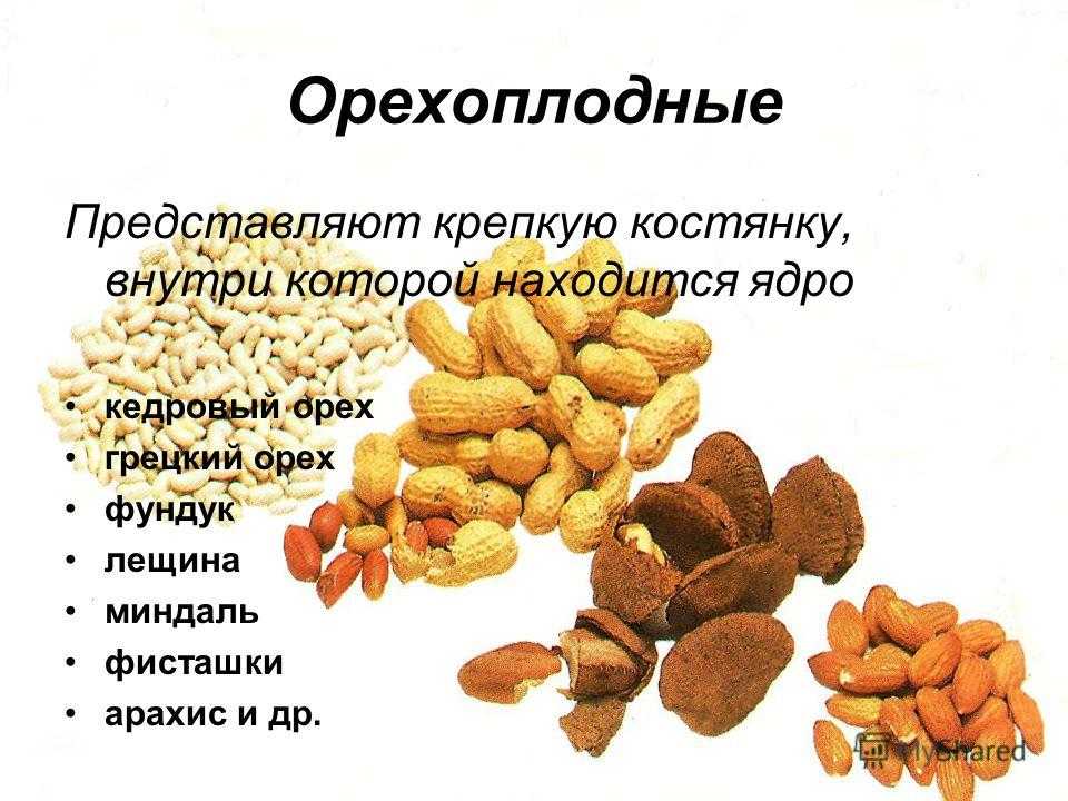 Орехоплодные культуры