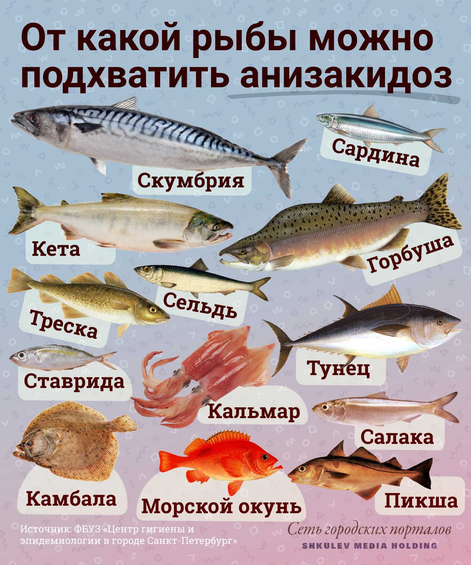 Анизакидоз - симптомы болезни, профилактика и лечение анизакидоза, причины заболевания и его диагностика на eurolab