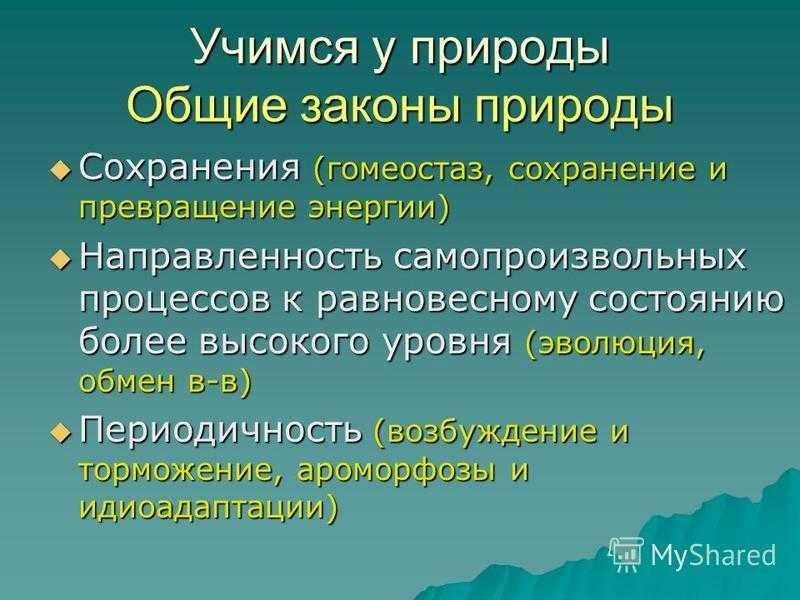 Какие виды систем подчиняются объективным законам природы?