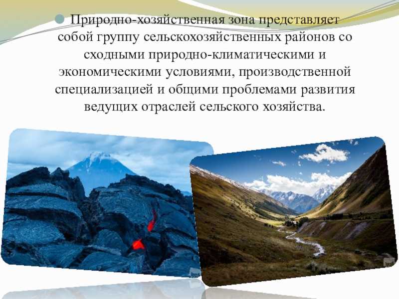 Природно-сельскохозяйственное районирование. краткая история сельскохозяйственного районирования территории россии
