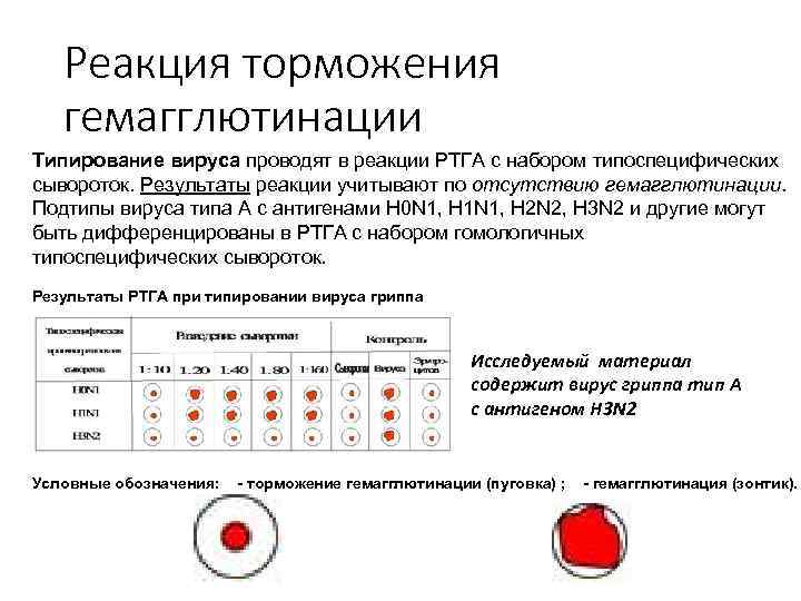 Презентация на тему "рга, ртга, постановка ртга в парных сыворотках. заключительная интерпретация."