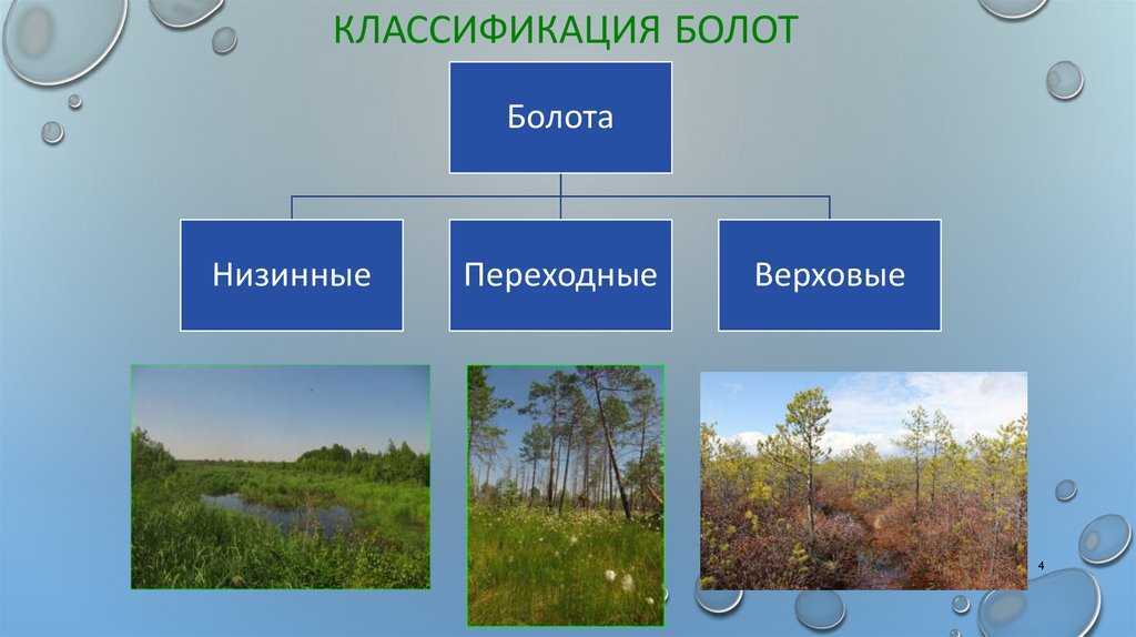 Мифология и легенды болот россии