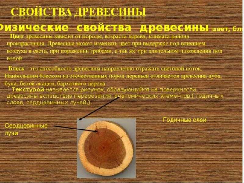 Диэлектрические свойства древесины. электрические свойства древесины является ли дерево проводником электричества