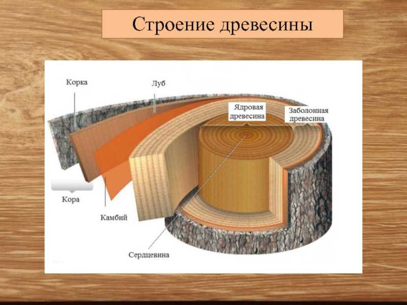 Интересные и нужные сведения о строительных материалах и технологиях