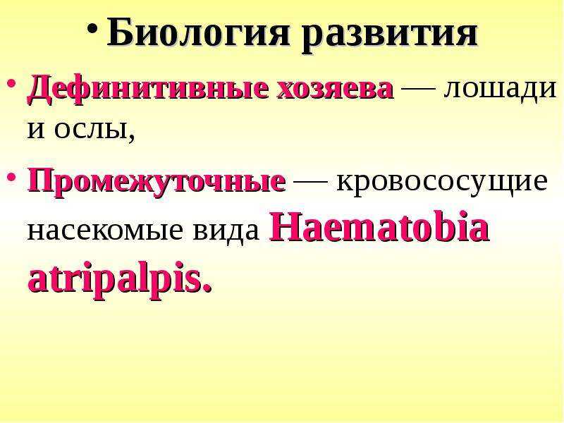 Презентация на тему филяриатозы, рабдидаты у домашних животных