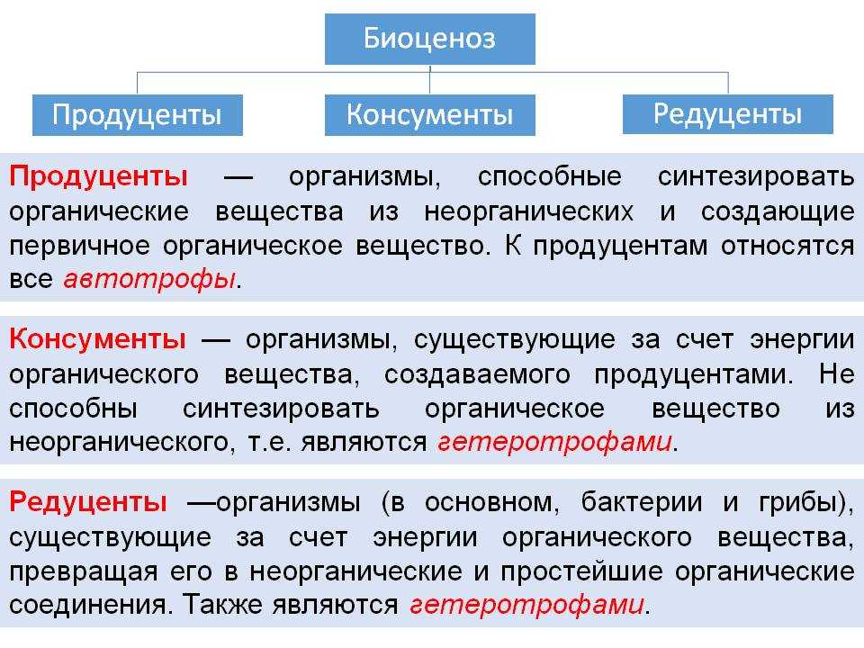 Микробиоценозы воздуха, водоемов и почв - экологическая микробиология - м. и. чернявская - 2016