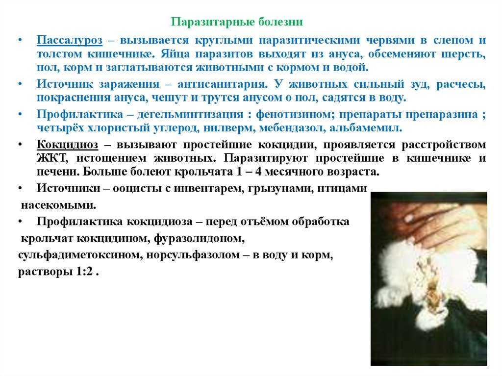 Паразитология и инвазионные болезни животных акбаев м.ш. ред.