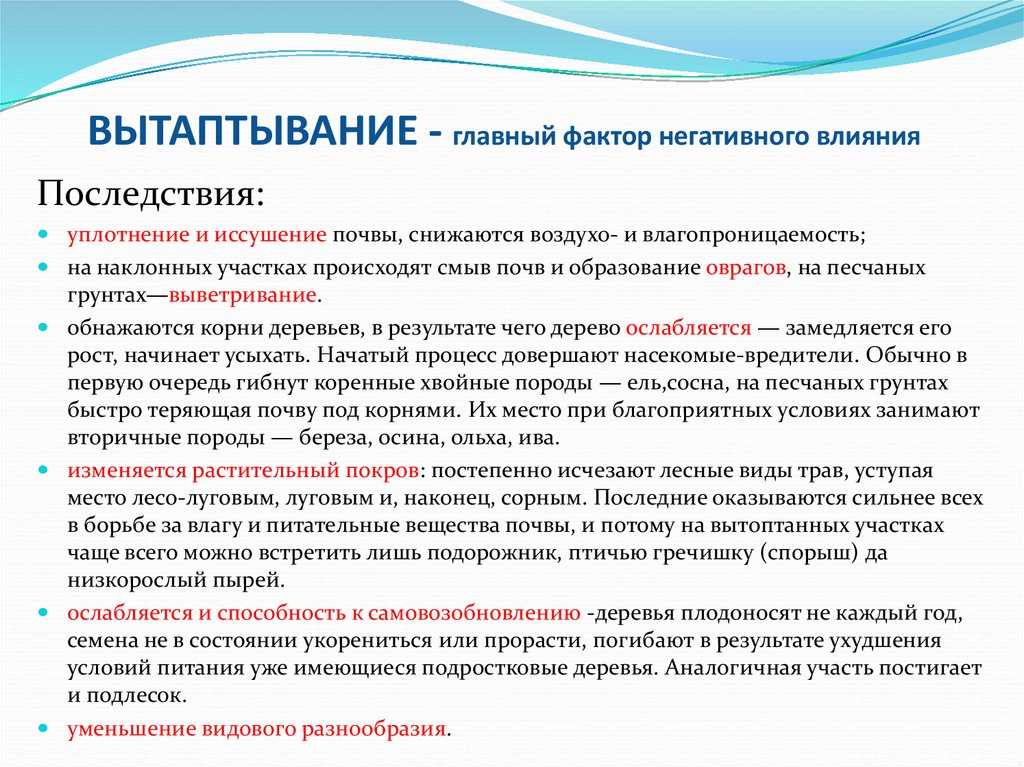 Природное сообщество "луг": характеристика, животный и растительный мир — природа мира
