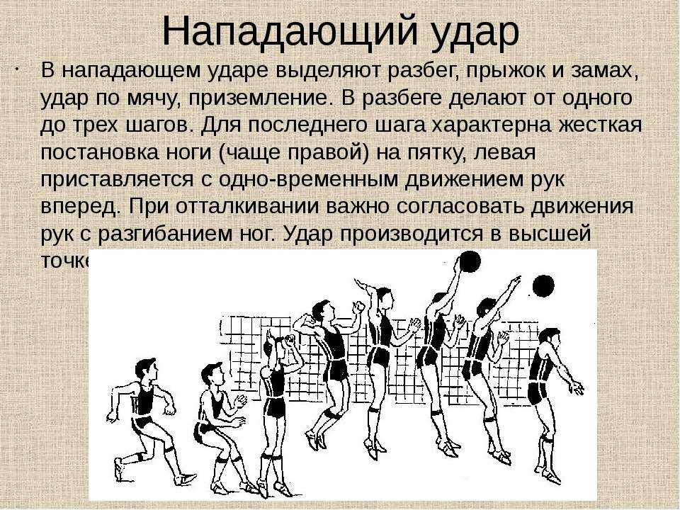 Изучение и совершенствование техники. волейбол. презентация, доклад, проект