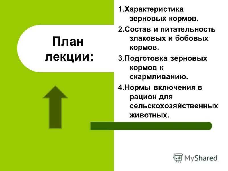 Концентрированный корм: типы, состав, требования по качеству и питательность