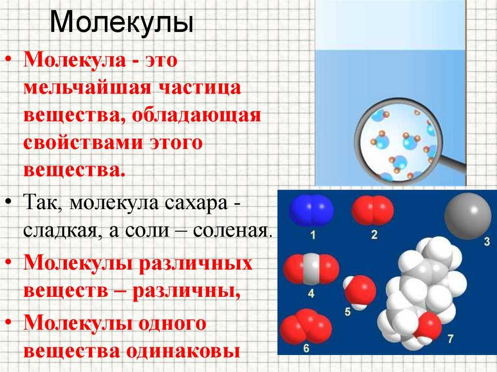 3.1. основные положения мкт