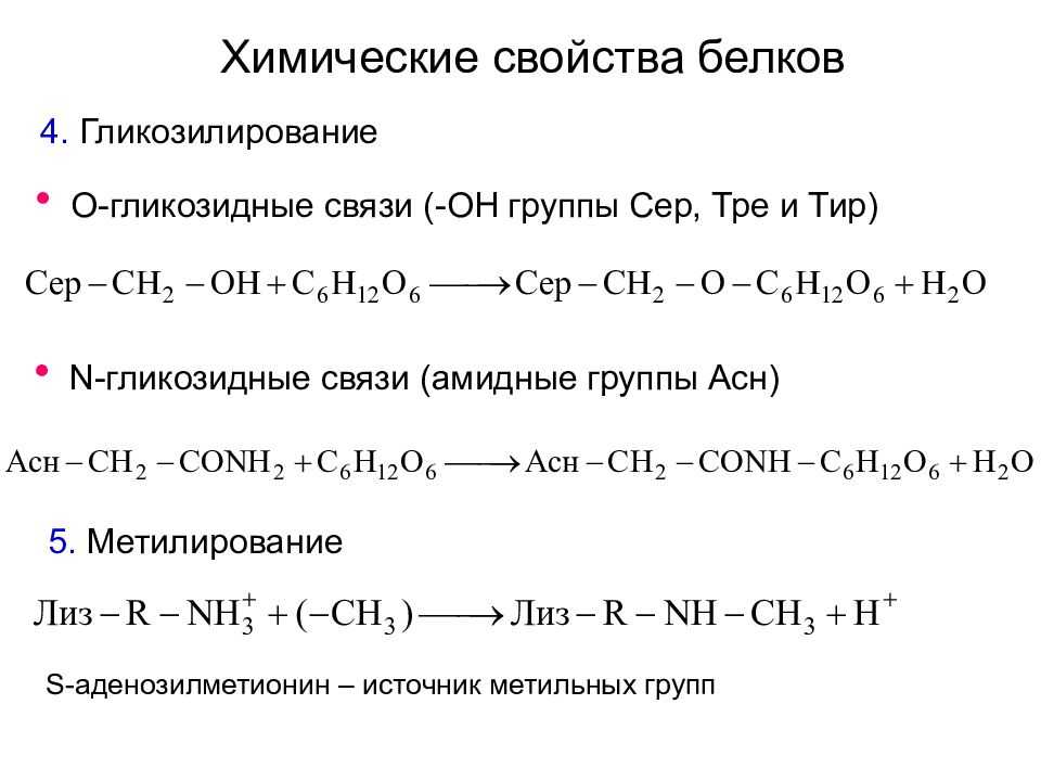 Химические свойства белков | химия онлайн