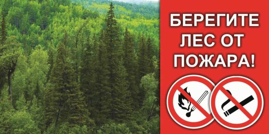 Водоохранно-защитные функции леса