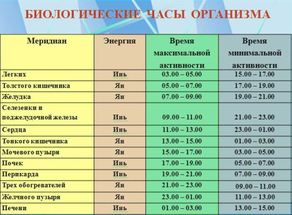 Биоритмы: что это, влияние циркадных ритмов на обучение — как эффективно учиться, зная свой хронотип
