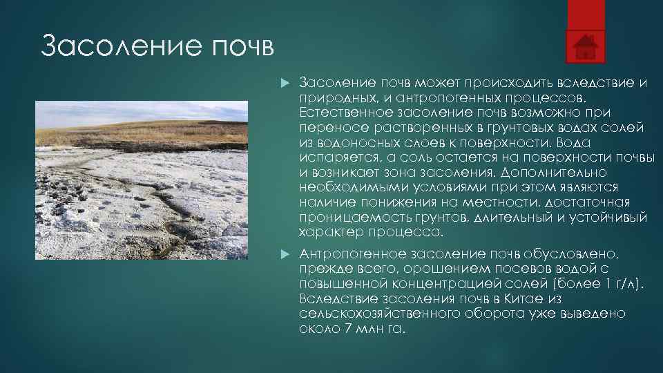 Засоление почв: причины и способы борьбы с проблемой