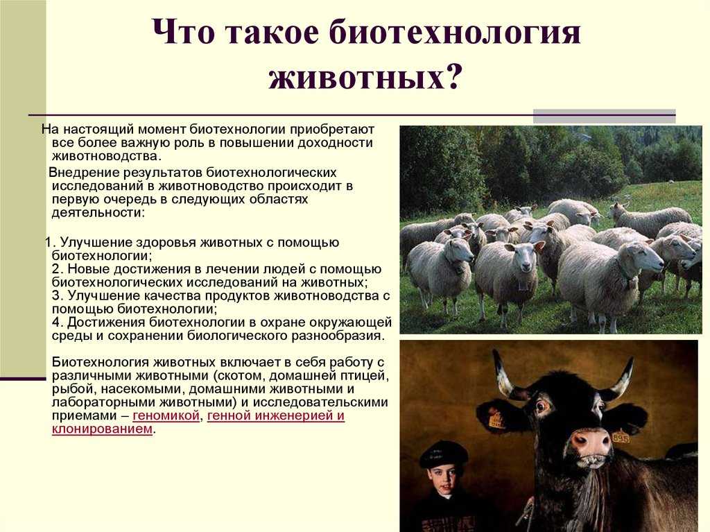 Интенсификация животноводства  [1990 клепинина з.а., капралова в.с., трайтак д.и., пичугина г.в., жаров м.с. - трудовое обучение: сельскохозяйственные работы: пробное учебное пособие для 5-7 классов средней школы]