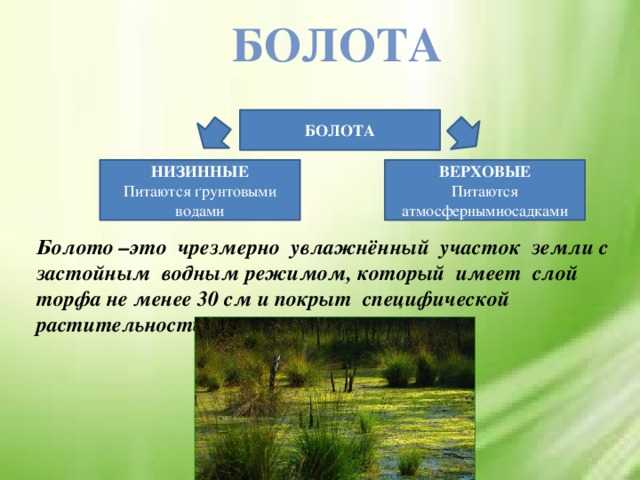 Магия друидов