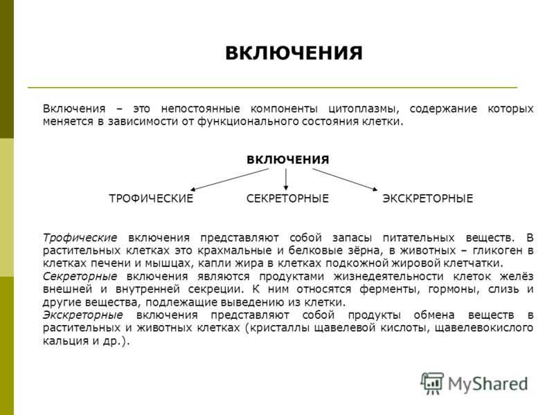 Растительные клетки