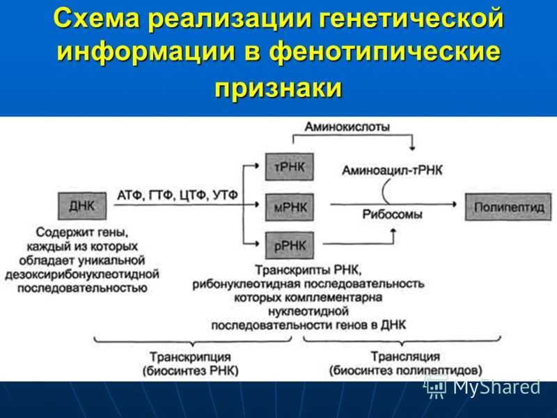 Биология