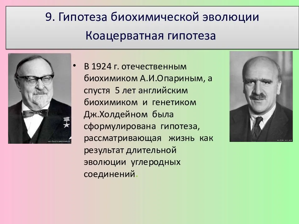 Эволюция растений: огромная проблема для приверженцев эволюции  [часть i] - origins.org.ua
