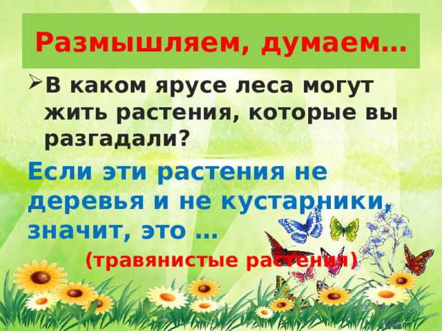 Лесная аптека. природные медикаменты — статьи и полезные материалы от narmed.ru