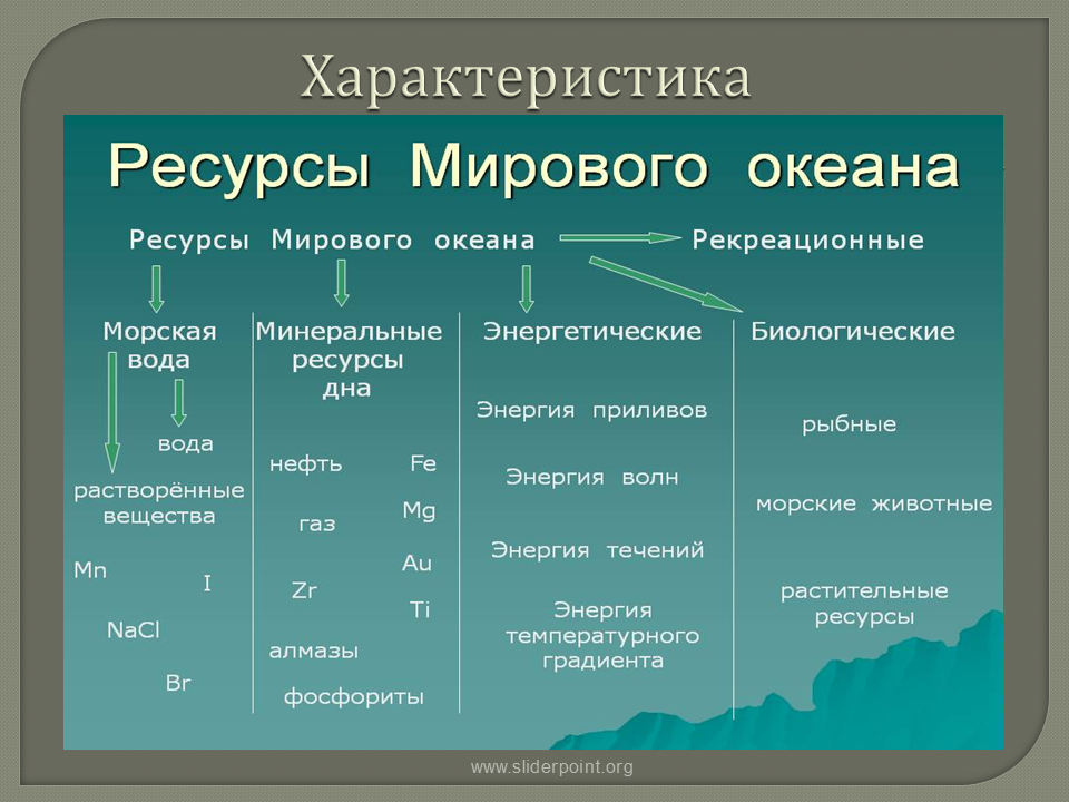 Мировой океан и его химические ресурсы  доклад, проект