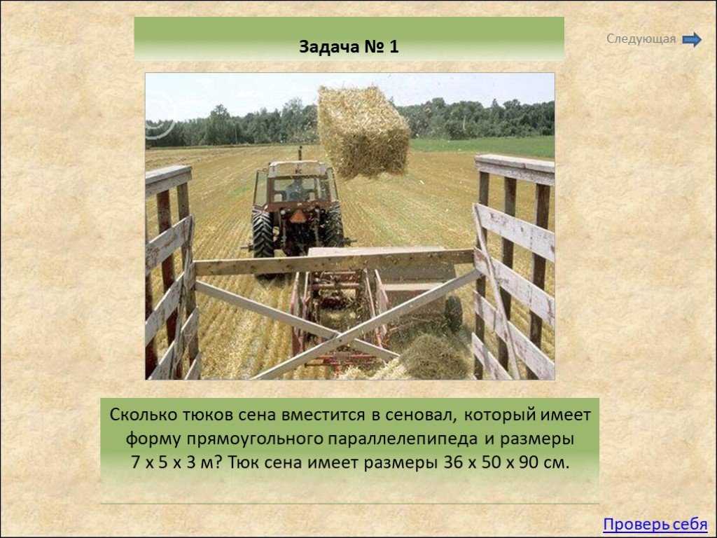 Основы кормления сельскохозяйственных животных и производство кормов