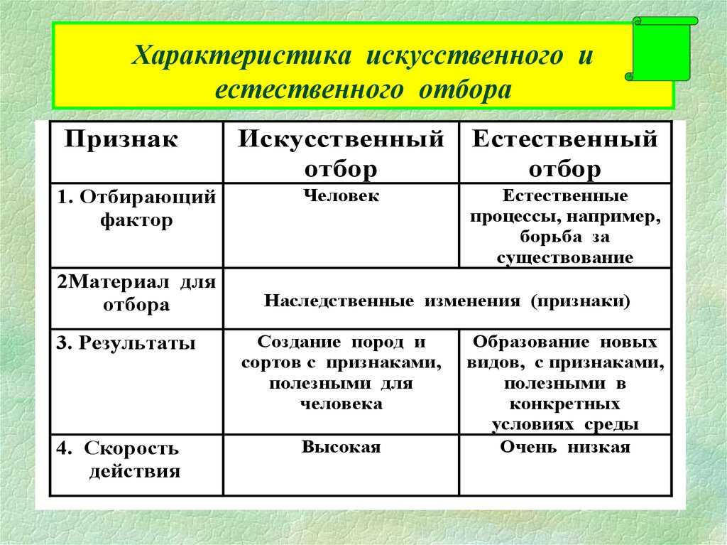 Искусственный отбор: виды, примеры, преимущества